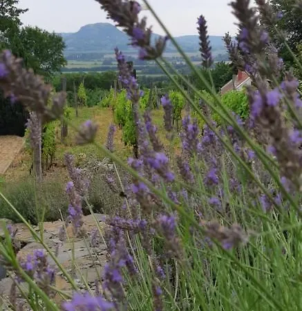 Sarkanyles Vendeghaz فندق *