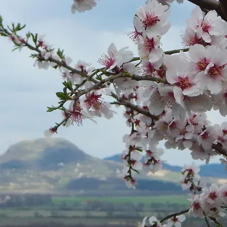 فندق Sarkanyles Vendeghaz