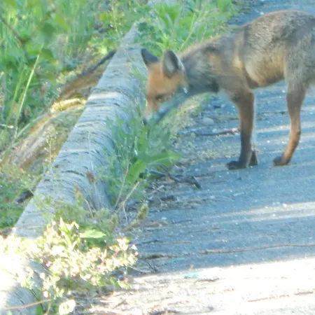 فندق Sarkanyles Vendeghaz *