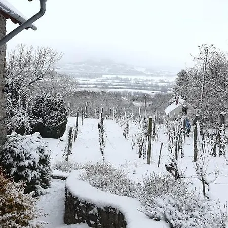 Sarkanyles Vendeghaz Kisapati