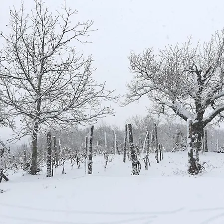 Sarkanyles Vendeghaz Kisapati