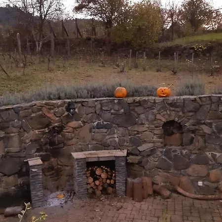 Sarkanyles Vendeghaz Kisapati