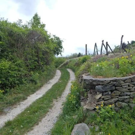 Sarkanyles Vendeghaz